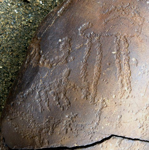 Fig. 20.3. A long-legged wild caprid (8 cm long) and other animals, which may include a carnivore. Protohistoric period. This boulder has been broken as the pace of destruction picks up at this rock art site.