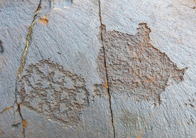 Fig. 21.5. Two geometric forms (each 7 cm long), the one on the left vaguely looks like the endless knot (pa-tra) of Bon and Buddhism, while the specimen on the right resembles a turtle (a sacred animal in Tibetan conceptions). Protohistoric period.