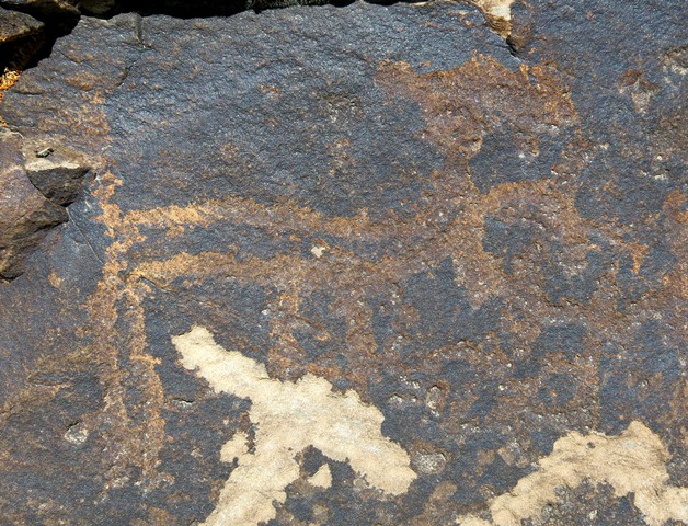 Fig. 3.2. Wild caprid (17 cm long). Protohistoric period. On this same boulder are three horsemen (see August 2015 Flight of the Khyung, figs. 26–28).