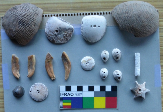 Fig. 3. Ceramics, shell objects and musk teeth from tombs at Gyu, Spiti. These objects were donated to the State Museum, Shimla. Photo courtesy of SRAHS.