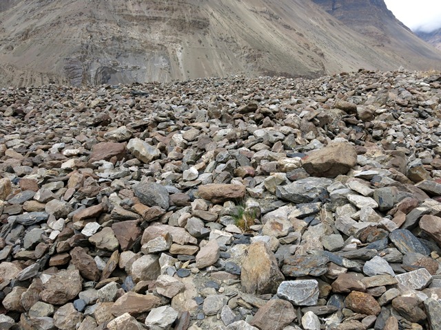 Fig. 4. The ruins of Gyadrong, which are so degraded that individual structures can not be differentiated from one another. This site may hold great promise for further archaeological investigation.