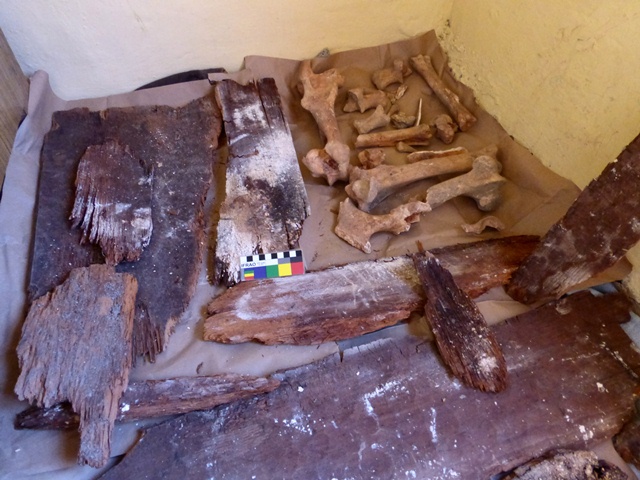 Fig. 20. Animal bones (including bovid) and planks of wood recovered from tomb in fig. 13. The planks may have been used in the construction of a catafalque, coffin or burial vault. Photo courtesy of SRAHS.
