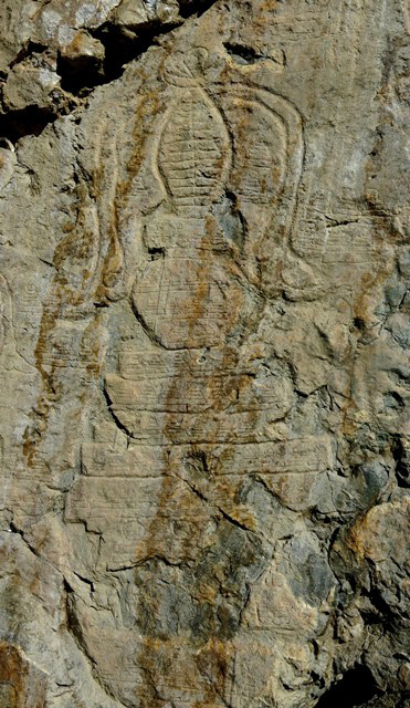 Fig. 21.5. The central specimen of the three largest chorten, Jomo Phuk. Note the thick streamers flanking the upper half of this carving. Much of the multi-tiered base has been obliterated. The upper five levels however are intact. There are rows of tiny chorten carved across each stage: platform below spire (one row), rounded midsection (three rows), five tiers of upper base (one row in each tier), and tiers of lower portion of base (three rows).