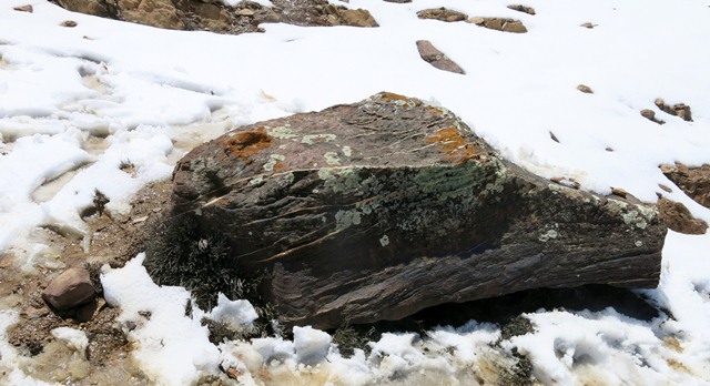 Fig. 23.1. The boulder with petroglyphs at Dungma Dangsa.