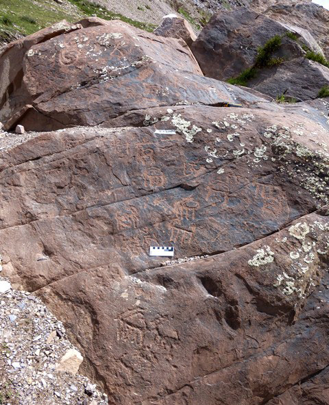 Fig. 24.1. Ibex carvings at Taktse. The larger upper group of roughly carved petroglyphs date to either the Early Historic period (600–1000 CE) or Vestigial period (1000–1250 CE). The ibex on the lower left side of the boulder are probably of protohistoric antiquity. Photo courtesy of the Spiti Rock Art and Historical Association.