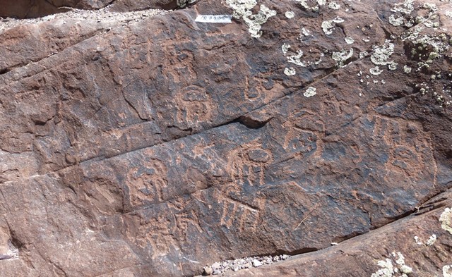 Fig. 24.2. A close-up of some of the ibex carvings at Taktse. Note the Tibetan syllable Om in the upper middle portion of the photograph and the two Om near the bottom of the image. These inscriptions also date to the Early Historic or Vestigial period. Photo courtesy of the Spiti Rock Art and Historical Society.