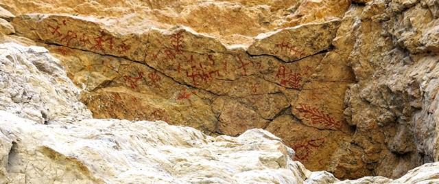 Fig. 25.1. The main concentration of red ochre rock paintings at Kubum. From left to right the main pictographs include swastika, unidentified, swastika, anthropomorph, sunburst, swastika, bird and anthropomorph, swastika, swastika and tree, swastika, anthropomorph or animal (?), swastika, swastika, crescent moon, linear design (tree?), swastika and tree, and tree, sun and moon.