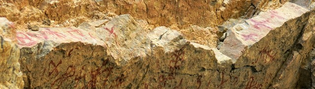 Fig. 25.5. A view of the rim of the rock ceiling with a number of other pictographs, including swastikas and possibly anthropomorphs, Kubum.