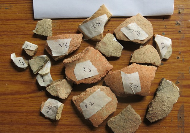 Fig. 26. Ceramic sherds from smooth-walled vessels collected in Gungri, many of which presumably came from tombs.