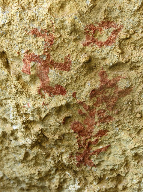 Fig. 28.13. Tree (13 cm high), sun and swastika on west wall of Sinmo Khadang. This integral composition has strong symbolic overtones.