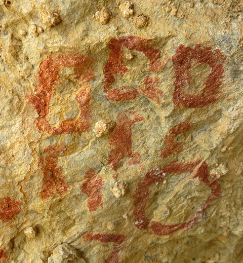 Fig. 28.6. Close-up of circle and other geometric forms in fig. 28.4. These figures appear to form a single composition. The identity of these pictographs is unclear.