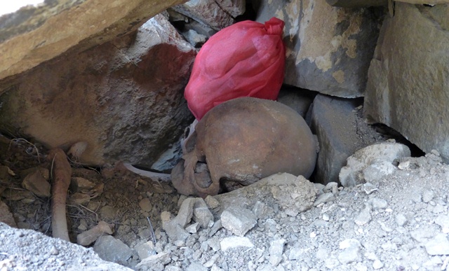Fig. 37. Human skull and other bones found inside tomb in fig. 36. Note the stacked stones behind the skull, which presumably formed part of the burial chamber. Photo courtesy of SRAHS.