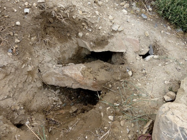 Fig. 43. In situ capstones of a gutted tomb, Kibbar. Photo courtesy of SRAHS.