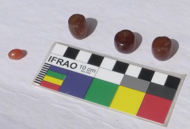 Fig. 48. Three cylindrical amber-colored agate beads. The smallest bead is made of carnelian. These beads were removed from inside the cist tomb in fig. 47. These types of beads are common in the Tibetan world where they are widely traded. Photo courtesy of SRAHS.