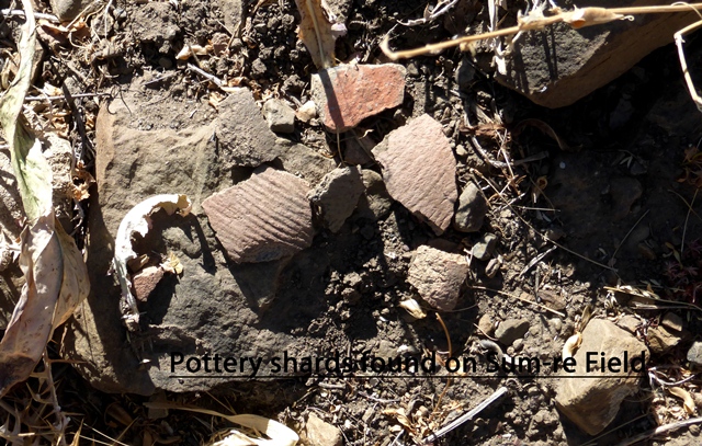 Fig. 49. Cord-marked ceramic fragments picked up in the vicinity of the cist burial in fig. 47.