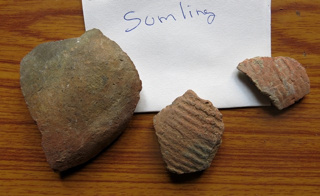Fig. 58. Ceramic fragments picked up in Sumling. The two cord-marked sherds may well have come from local tombs.