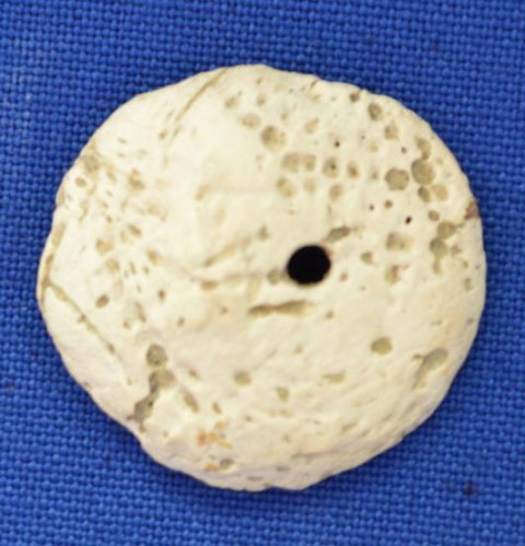 Fig. 63. Perforated shell disc from Lippa, Kinnaur. Photo credit: Mukherjee et al. 2015, p. 12 (fig. 5).