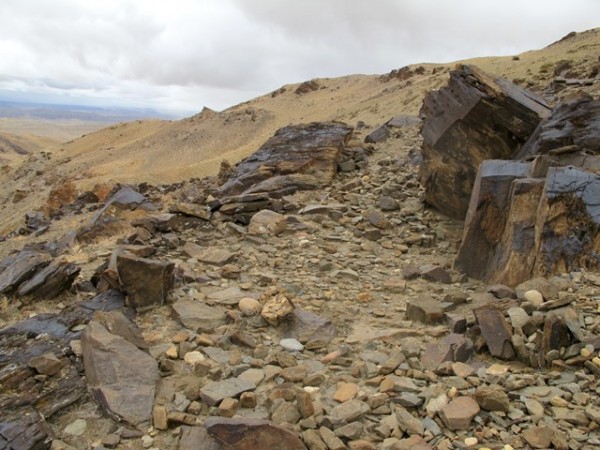 Fig. 10. Site of the lower tier of Rock Art Village.