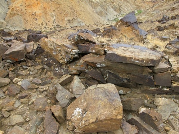 Fig. 11. An intact wall fragment of the lower tier. The careful double-course construction of this wall shows that it once belonged to a building.