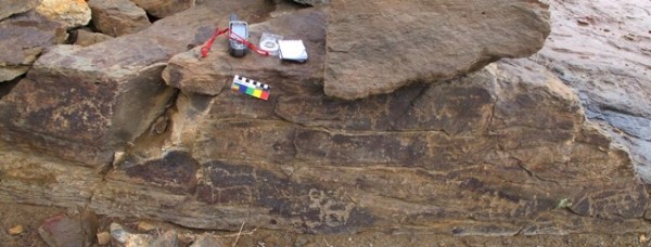 Fig. 13. Vertically oriented panel of a boulder with carvings of wild yaks and other animals. Early Historic period.