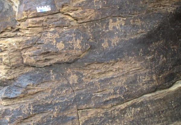 Fig. 19. Vertical face of boulder with many carvings on it, most of which are indistinct and crudely made. Below the color calibration card is a horseman. Note the sacred syllable Om roughly inscribed on the bottom left side of the image.