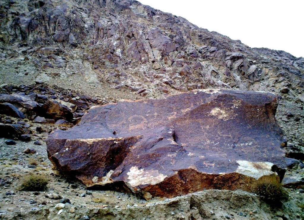 Fig. 4. An unusual example of an ancient artist using a ridge on a rock surface to highlight the ascent of ibex, which are shown reduced successively in size, Khimi. Other animals are also depicted on the boulder.