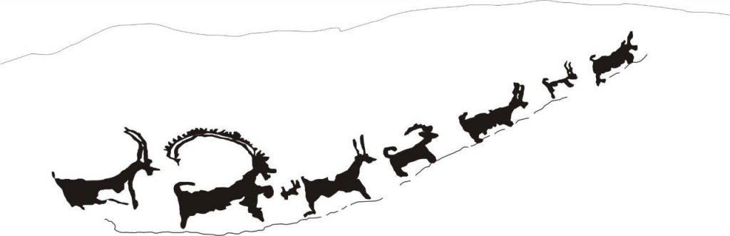 Fig. 5. A drawing of the ascent of the ibex in fig. 3. Drawing by Tashi Ldawa.