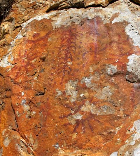 Fig. 5. This panel of red ochre pictographs depicts two suns, crescent moon, two swastikas, conjoined sun and moon, and tree surrounded by dots. Northwestern Tibet. The various figures may have been painted at different times but are closely related thematically. Most seem to belong to the Protohistoric period; however, the conjoined sun and moon may have been made at a later date. The figures in this composition resonate with cosmological symbolism.