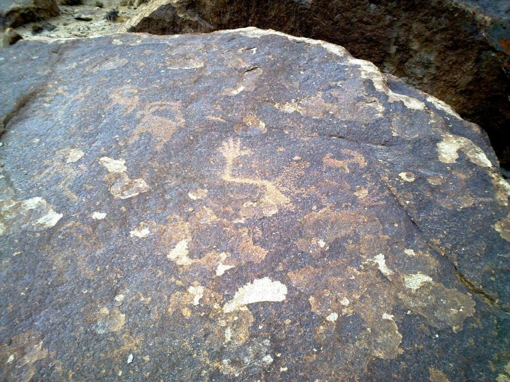 Fig. 7. A large 2-m long rock slab at Khimi, where an anthropomorphic form is seen with arms outstretched (the right arm is more clearly visible) and surrounded by various animals, including wild sheep, etc.