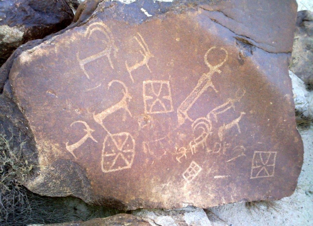 Fig. 18. Wild yaks, ibex and geometric forms, Sasoma-Umlung.