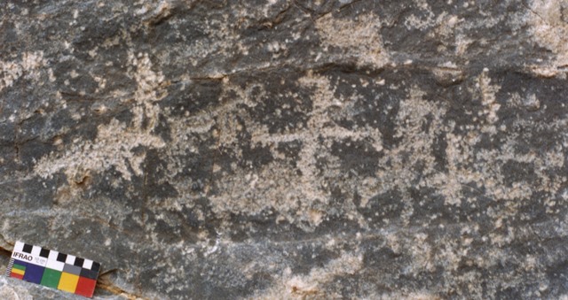 Fig. 21. Swastika as centerpiece with two or more wild ungulates and possibly other swastikas around it. Northwestern Tibet. These petroglyphs have been obscured by the subsequent removal of the stone surface. Protohistoric period.
