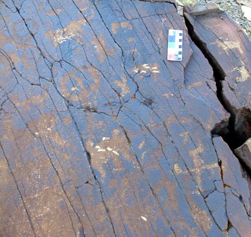 Fig. 22. A swastika, animals and curvilinear figures can be discerned while other carvings on the rock panel are highly obscured. The compositional relationships between these petroglyphs is unclear. Northwestern Tibet. Protohistoric period.