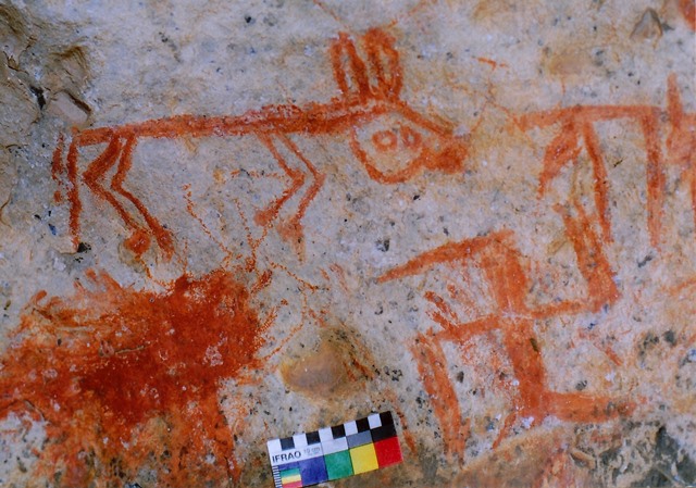 Fig. 24. Swastika and stick figure animal, Eastern Changthang. These two figures and perhaps others in this small cave may have been created by the same painter. The naïve form of the animal is in keeping with later styles of rock art. Early Historic period.