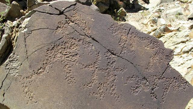 Fig. 3. On the left side of the rock panel a hunter comes face to face with a wild yak, far western Tibet. Possibly beginning of the Iron Age (800–500 CE). The hunter is aiming his bow at the chest of his prey. The identity of the two animals on the right is not clear; they may possibly be other wild yaks or even carnivores.