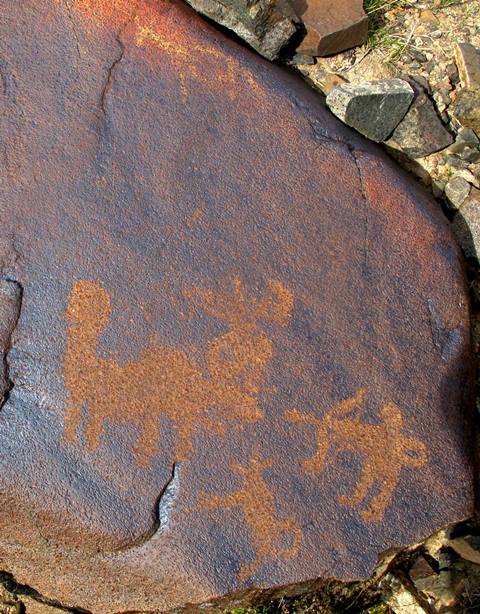 Fig. 4. Standing archer confronting a wild yak with his bow and arrow, central Changthang. A hound also attacks the wild yak and what may be a raptor hovers above the horns of the wild yak. Iron Age.