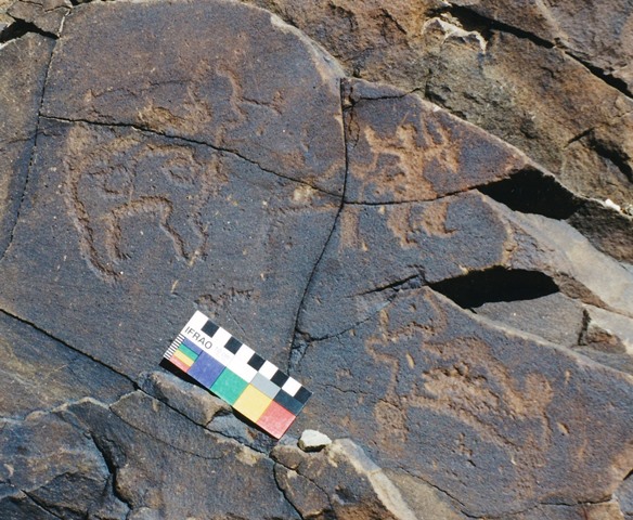 Fig. 6. Three wild yaks and standing archer facing in opposite direction with bow and arms raised, far western Tibet. Iron Age or Protohistoric period.