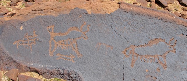 Fig. 20. Mounted archer and hound chasing a wild yak. Another wild yak in the same basic style is situated to the right, western Changthang. Iron Age.