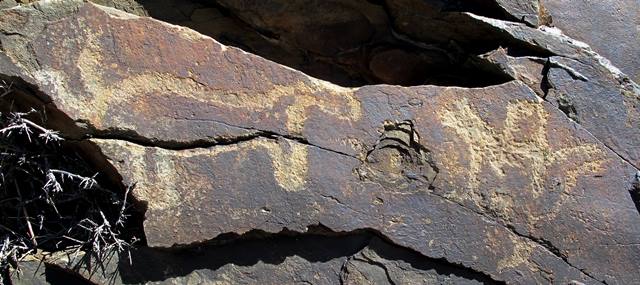 Fig. 25. Wild yak and what appears to be a horseman in pursuit, far western Tibet. Iron Age.