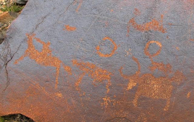 Fig. 47. Horse rider, unidentified animal, two wild yaks, two circles, and other minor carvings, Central Changthang. Iron Age.