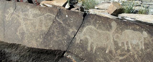 Fig. 48. Horseman followed by two wild yaks, far western Tibet. Iron Age or Protohistoric period.