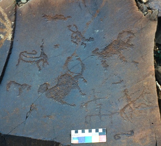 Fig. 52. Three wild yaks (middle part of image), three horsemen (bottom right), ostensible carnivore with gaping jaws and another quadruped (left side), far western Tibet. Iron Age. Below the horsemen is a double volute motif.