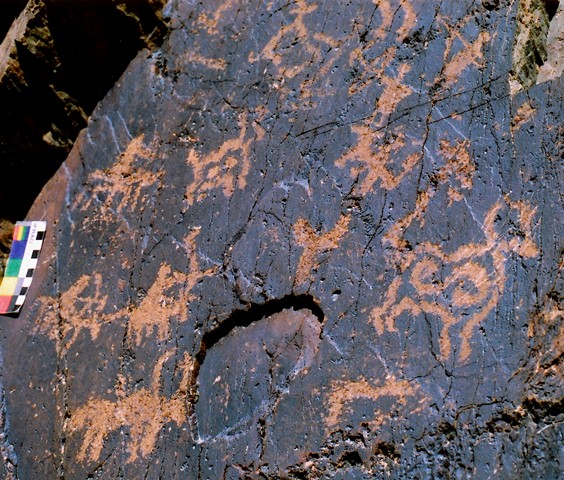 Fig. 77. Three mounted archers coursing three wild yaks. A fourth horseman (middle right) may possibly be a part of the same scene. Above this composition standing archers are hunting wild caprids (partly visible in image), far western Tibet. Protohistoric period.