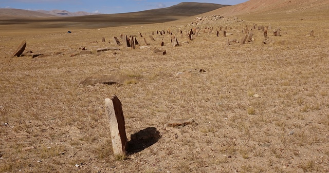 Fig. 14. The entire array of stelae of the West Complex viewed from the east. Note the isolated tabular stele in the foreground.