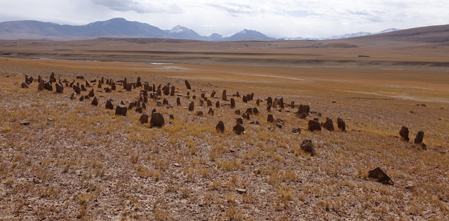 Fig. 15. Array of stelae from the northwest, West Complex.