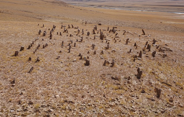 Fig. 16. Array of stelae viewed from atop the appended temple-tomb, West Complex. The highly fragmentary nature of this array is seen.