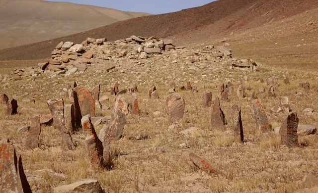 Fig. 17. Close-up of stelae nearest the temple-tomb, West Complex. Patches of orange climax lichen can be seen on some of the standing stones.