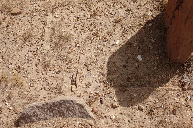 Fig. 19. The northwest corner of the small slab wall enclosure in which the most easterly stele stands, West Complex.