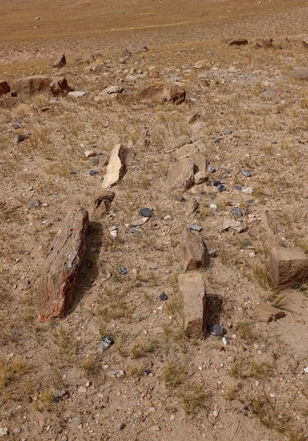 Fig. 26. Slab wall traces in funerary enclosure FS4. Note how the slabs project prominently above the ground surface.