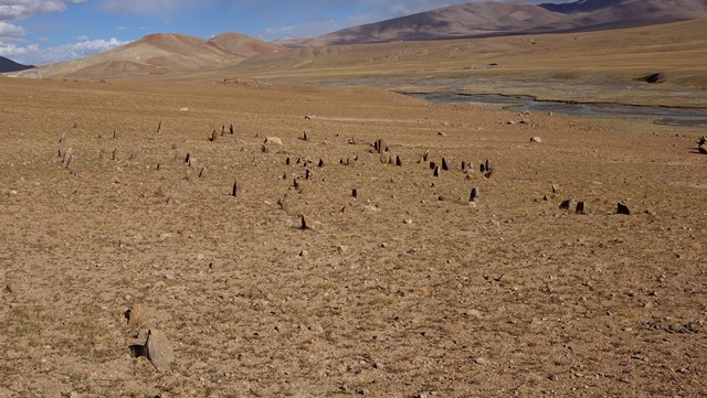 Fig. 39. The array of stelae from atop the temple-tomb, Central Complex. Most of the standing stones have long since disappeared. The temple-tomb of the East Complex is visible in the background.