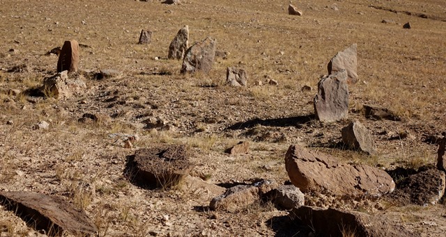 Fig. 40. A close-up of some of the stelae in the array of the Central Complex. Note how most of these standing stones have a tabular form.